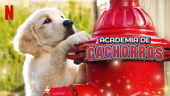 Academia de cachorros (2020)