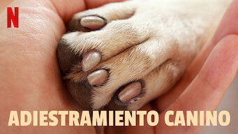 Adiestramiento canino (2021)