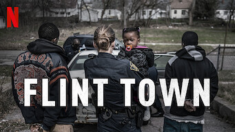 Flint Town (2018)