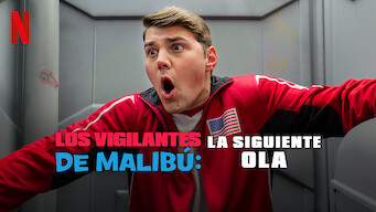 Los vigilantes de Malibú: La siguiente ola (2020)